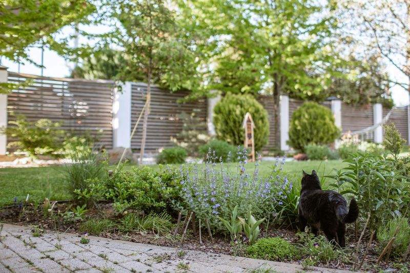 季節の植栽デザイン